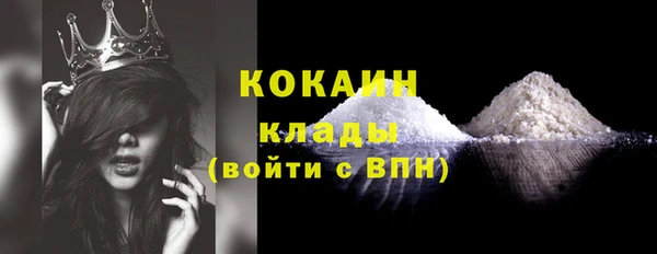 гидра Абаза
