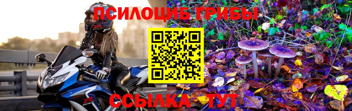 Моршанск  Псилоцибиновые грибы Magic Shrooms  Вход с VPN 