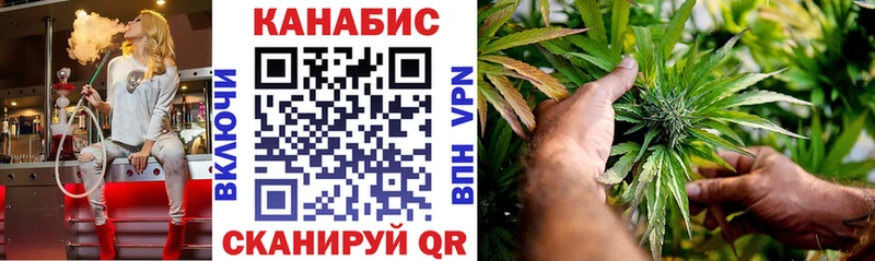 Бошки Шишки планчик  продажа наркотиков  маркетплейс формула  Моршанск 